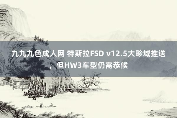 九九九色成人网 特斯拉FSD v12.5大畛域推送，但HW3车型仍需恭候