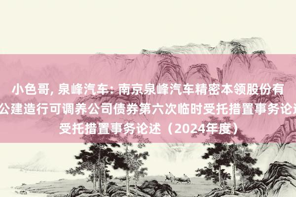 小色哥, 泉峰汽车: 南京泉峰汽车精密本领股份有限公司2021年公建造行可调养公司债券第六次临时受托措置事务论述（2024年度）