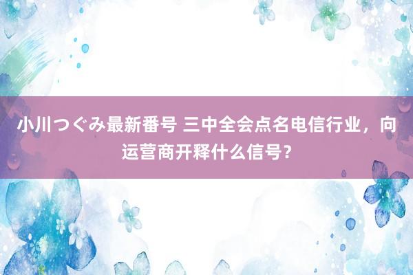 小川つぐみ最新番号 三中全会点名电信行业，向运营商开释什么信号？