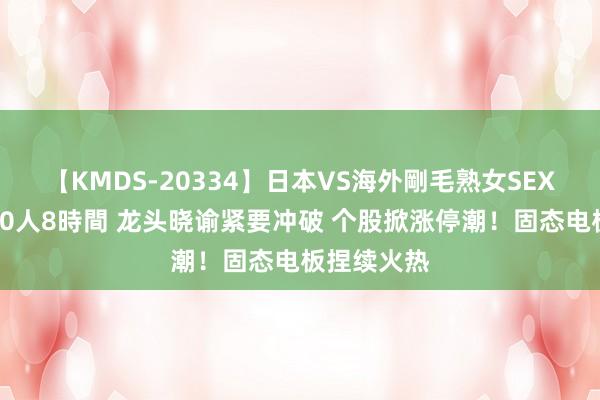 【KMDS-20334】日本VS海外剛毛熟女SEX対決！！40人8時間 龙头晓谕紧要冲破 个股掀涨停潮！固态电板捏续火热