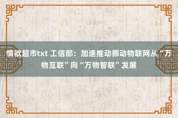 情欲超市txt 工信部：加速推动挪动物联网从“万物互联”向“万物智联”发展