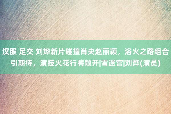 汉服 足交 刘烨新片碰撞肖央赵丽颖，浴火之路组合引期待，演技火花行将敞开|雪迷宫|刘烨(演员)